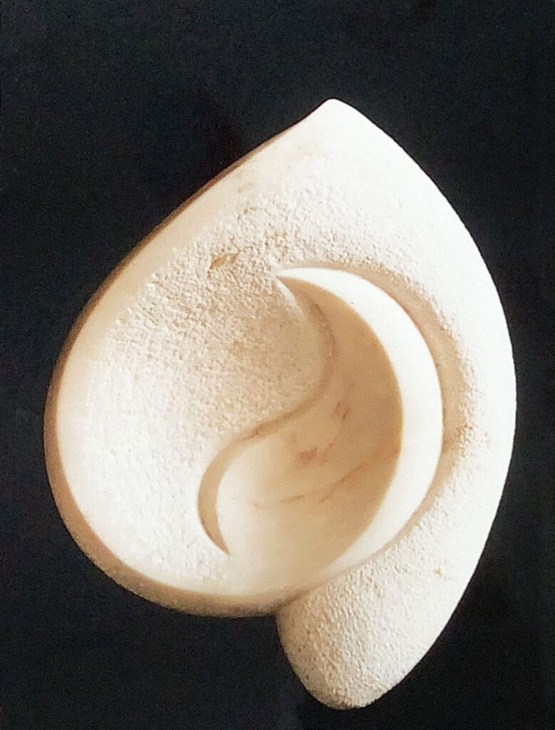 Skulptur aus Marmor. Draufsicht auf eine muschelförmige Skulptur mit glatten und rauen Oberflächen.